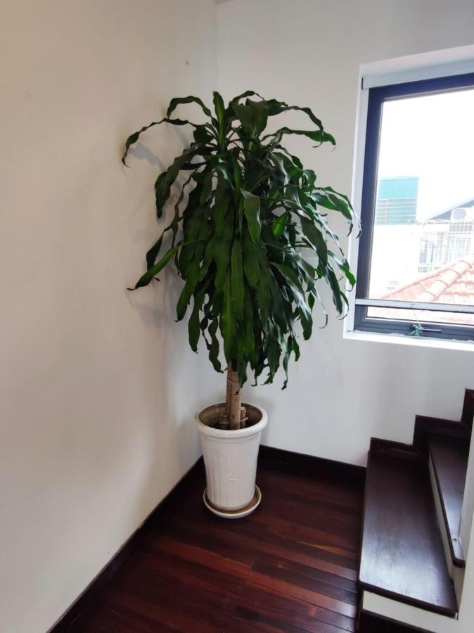 Davidduc's Duplex Xom Chua Apartment Hanoi